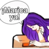 ¡Marica
ya!
Jan Smar