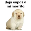 Memes uwu 5 27