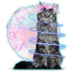 Kittens 28