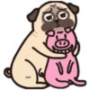 Pug Animado 24