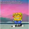 Esponja aesthetic 30