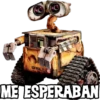 WALL E 30