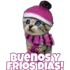 Buenos Y
FRIOS DIAS!