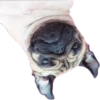 Pug Mood 27
