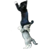 Kittens 30