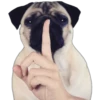 Pug Mood 28