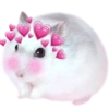 Hamsters  (Y&B) 5