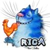 RICA
Vero Bellies