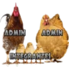 Ban Admin 12