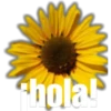 chola!