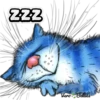 222
Wind
LO
Vero Bellies