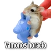 Hamsters  (Y&B) 9