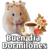 Hamsters  (Y&B) 10