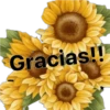 Gracias!!