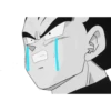 SON VEGETA 6