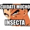 CUIDATE MUCHO
INSECTA
memegenerator.es