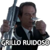 GRILLO RUIDOSO
...