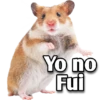 Hamsters  (Y&B) 12