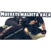 Irene yo y mi otro yo 11