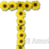 E Amo!