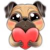 Pug cute 💛🧡 7