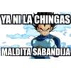 YANI LA CHINGAS
MALDITA SABANDIJA
