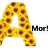 Mor!