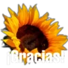 ¡Gracias!