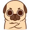 Pug cute 💛🧡 9