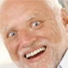 Harold Meme 6