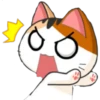 Gatito Meow Ale 14