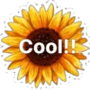 Cool!!