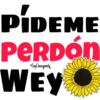 PIDEME
PERDÓN
Soy Choogomila
WEY