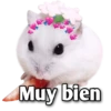 Hamsters  (Y&B) 16