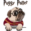Puggy Potter