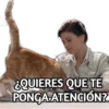 ¿QUIERES QUE TE
PONGA ATENGIÓN?