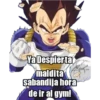 Ya Despierta
maldita
sabandija hora
de ir al gym!