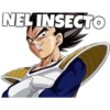 NELINSECTO
