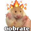 Hamsters  (Y&B) 22