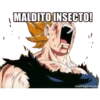MALDITO INSECTO!
memegenerato