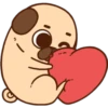 Pug cute 💛🧡 16
