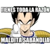 TIENES TODA LA RAZÓN
MALDITA SABANDIJA