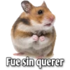 Hamsters  (Y&B) 23