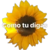Como tu digas