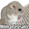 Hamsters  (Y&B) 24