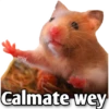 Hamsters  (Y&B) 25
