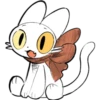 Gatos diferentes 16