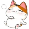 Gatito Meow Ale 17