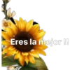 Eres la mejor !!