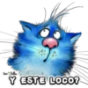 Vero Bellies
Y ESTE LOCO?